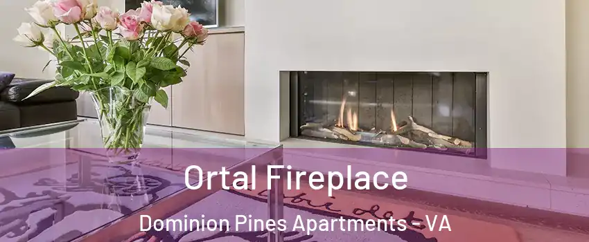 Ortal Fireplace Dominion Pines Apartments - VA