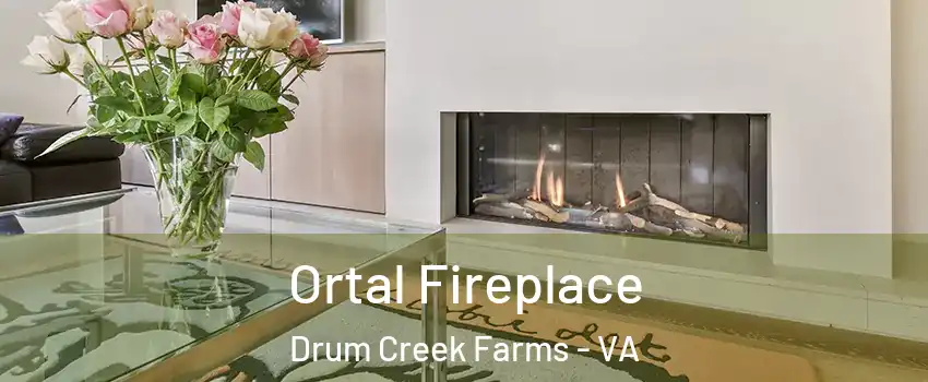 Ortal Fireplace Drum Creek Farms - VA