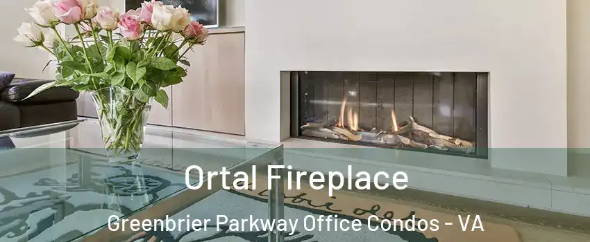 Ortal Fireplace Greenbrier Parkway Office Condos - VA
