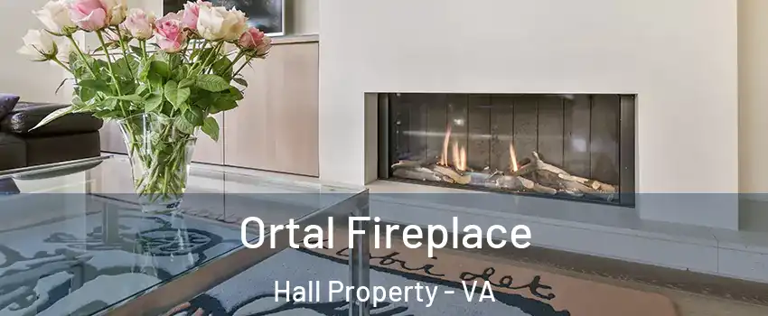 Ortal Fireplace Hall Property - VA