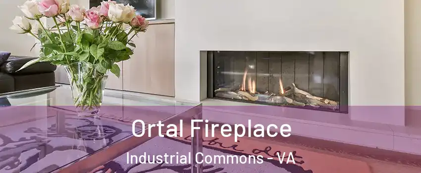 Ortal Fireplace Industrial Commons - VA