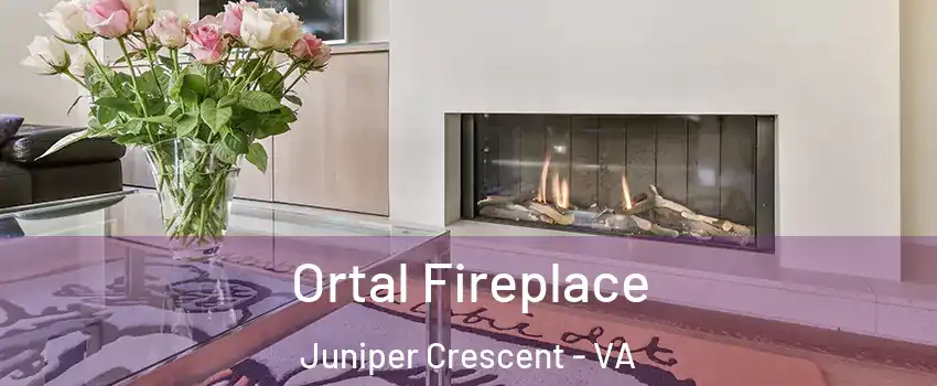 Ortal Fireplace Juniper Crescent - VA