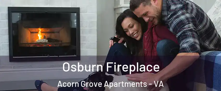 Osburn Fireplace Acorn Grove Apartments - VA