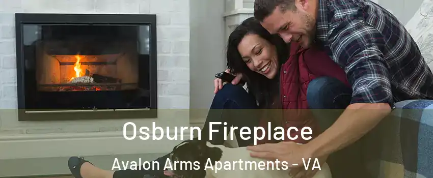 Osburn Fireplace Avalon Arms Apartments - VA