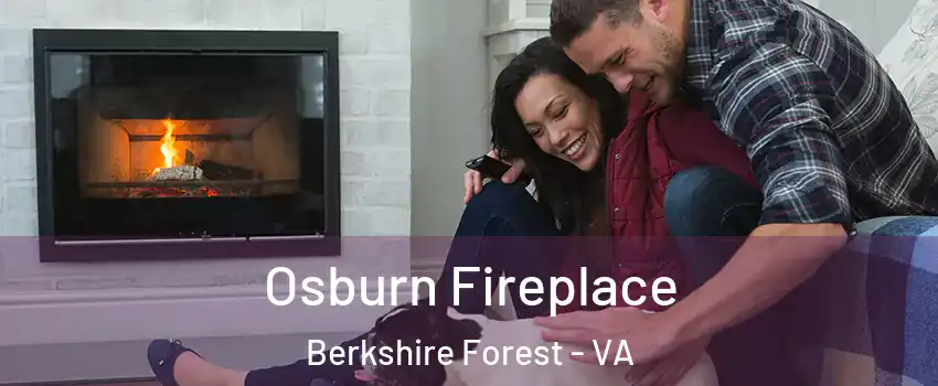 Osburn Fireplace Berkshire Forest - VA