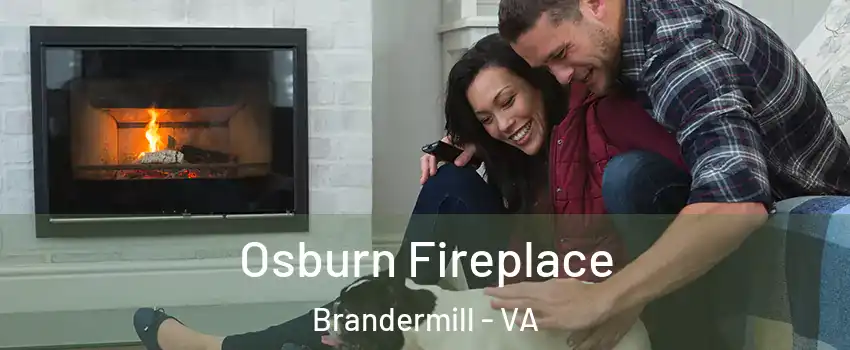 Osburn Fireplace Brandermill - VA