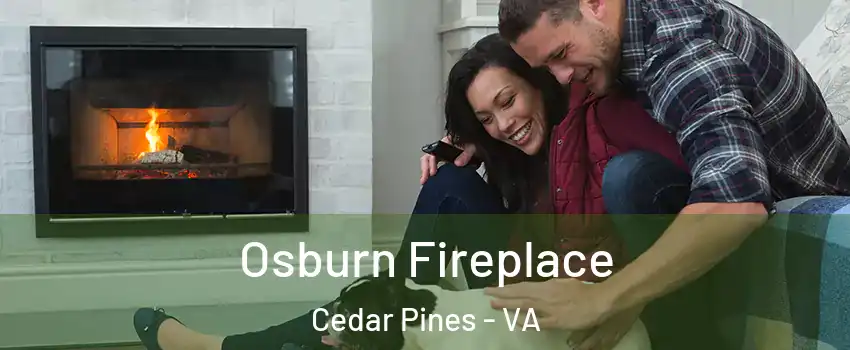 Osburn Fireplace Cedar Pines - VA