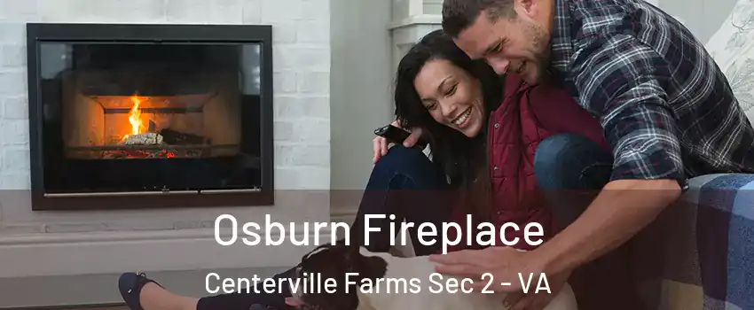 Osburn Fireplace Centerville Farms Sec 2 - VA