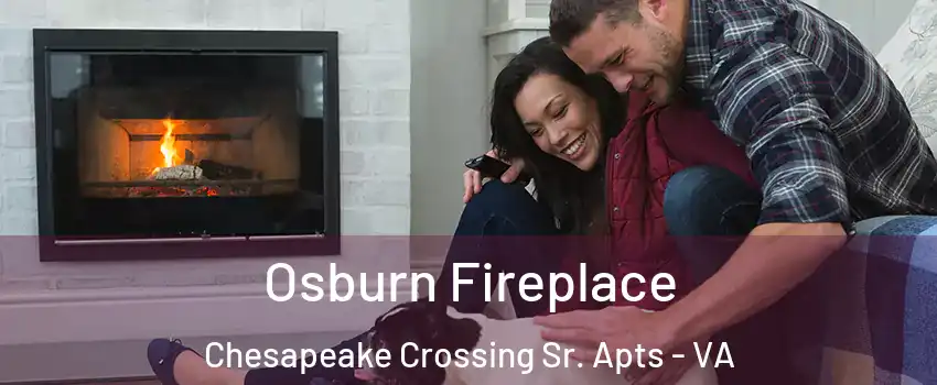 Osburn Fireplace Chesapeake Crossing Sr. Apts - VA