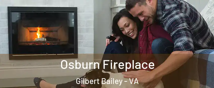Osburn Fireplace Gilbert Bailey - VA
