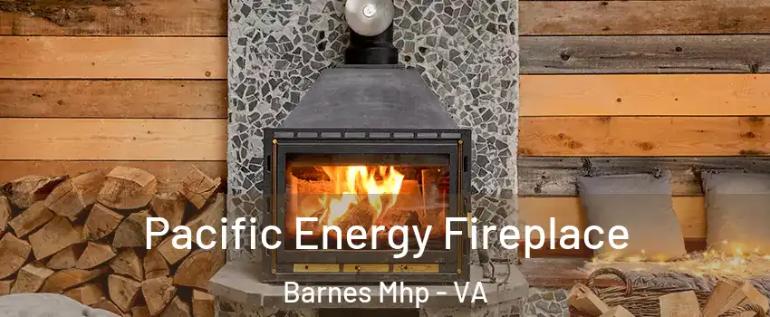 Pacific Energy Fireplace Barnes Mhp - VA