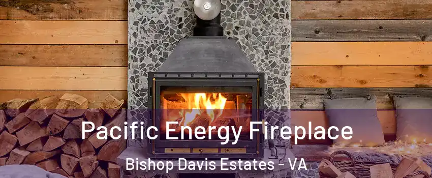 Pacific Energy Fireplace Bishop Davis Estates - VA