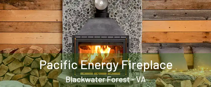 Pacific Energy Fireplace Blackwater Forest - VA