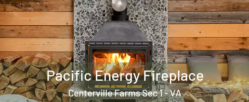 Pacific Energy Fireplace Centerville Farms Sec 1 - VA