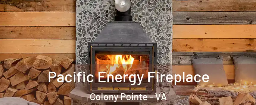 Pacific Energy Fireplace Colony Pointe - VA