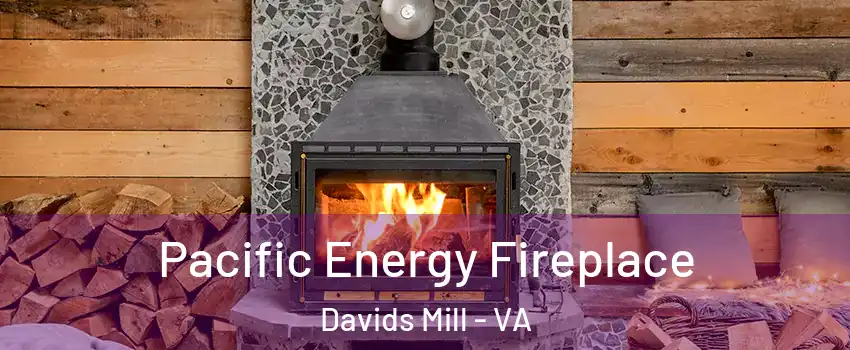 Pacific Energy Fireplace Davids Mill - VA