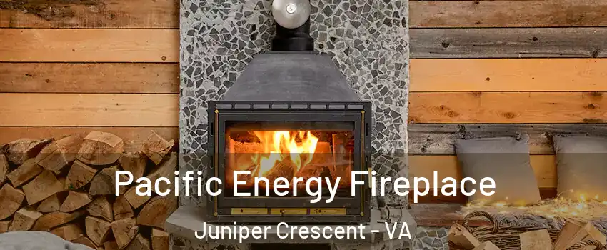 Pacific Energy Fireplace Juniper Crescent - VA