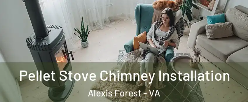 Pellet Stove Chimney Installation Alexis Forest - VA