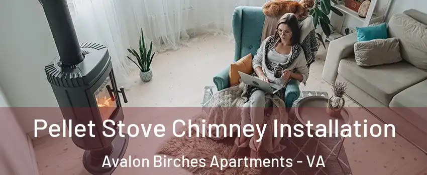 Pellet Stove Chimney Installation Avalon Birches Apartments - VA