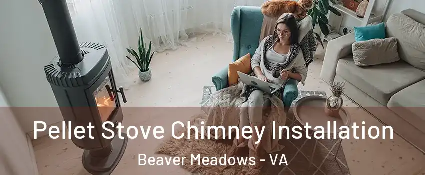 Pellet Stove Chimney Installation Beaver Meadows - VA