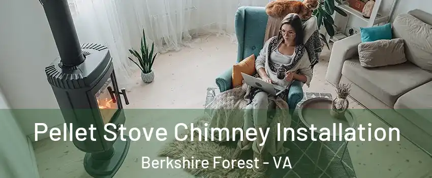 Pellet Stove Chimney Installation Berkshire Forest - VA