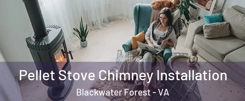 Pellet Stove Chimney Installation Blackwater Forest - VA