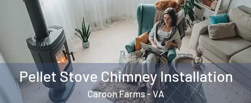 Pellet Stove Chimney Installation Caroon Farms - VA