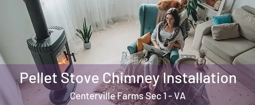 Pellet Stove Chimney Installation Centerville Farms Sec 1 - VA