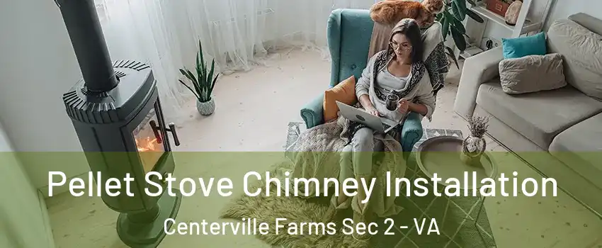 Pellet Stove Chimney Installation Centerville Farms Sec 2 - VA