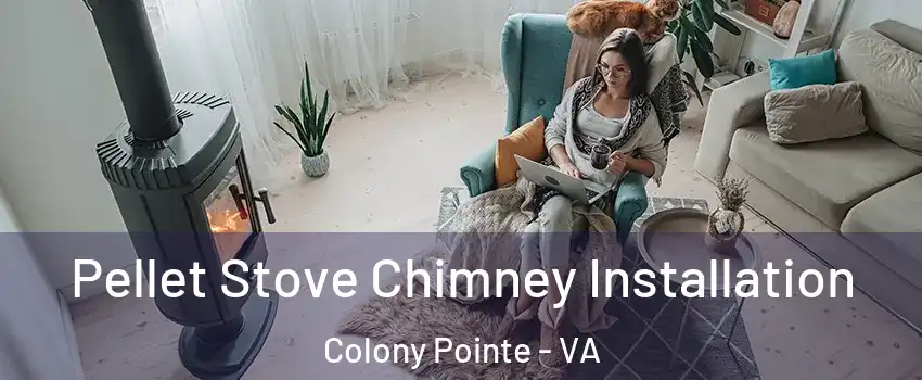Pellet Stove Chimney Installation Colony Pointe - VA