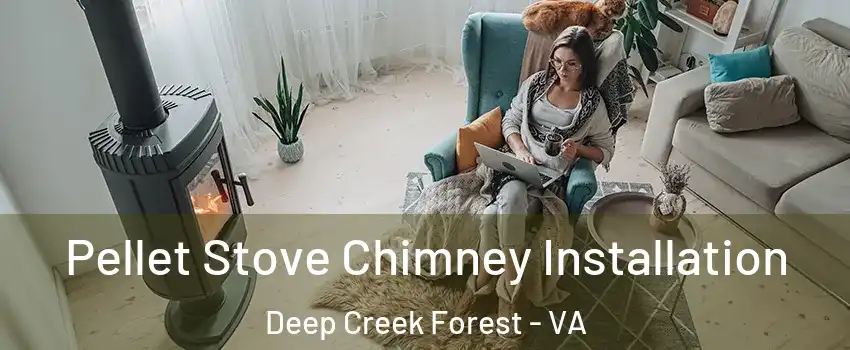Pellet Stove Chimney Installation Deep Creek Forest - VA