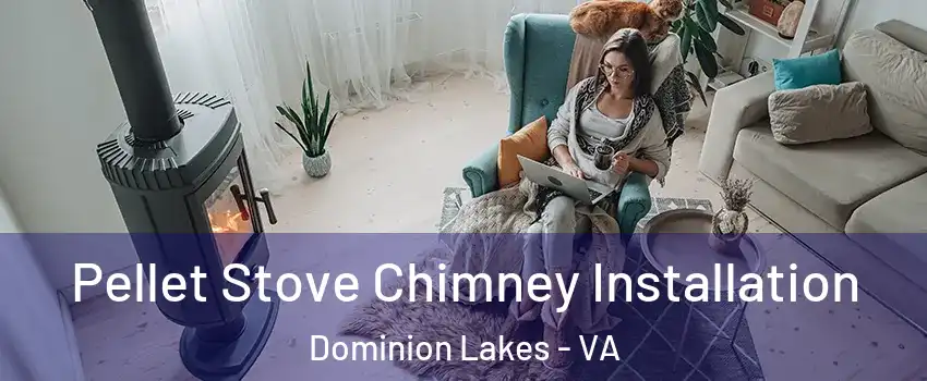 Pellet Stove Chimney Installation Dominion Lakes - VA