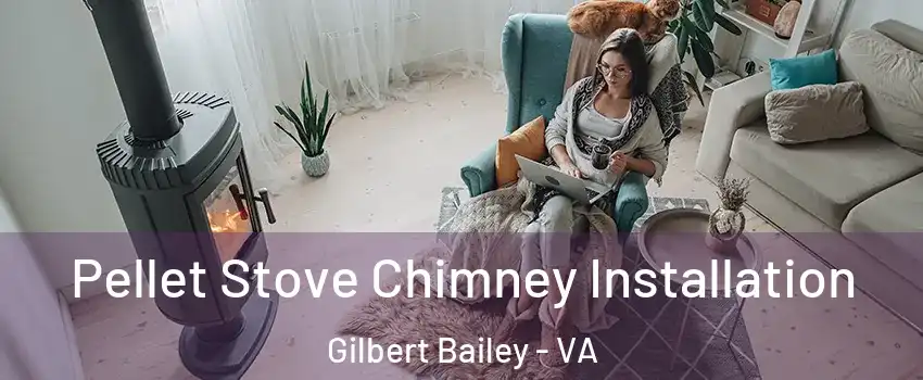 Pellet Stove Chimney Installation Gilbert Bailey - VA