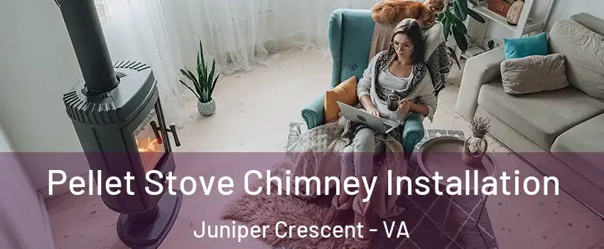 Pellet Stove Chimney Installation Juniper Crescent - VA