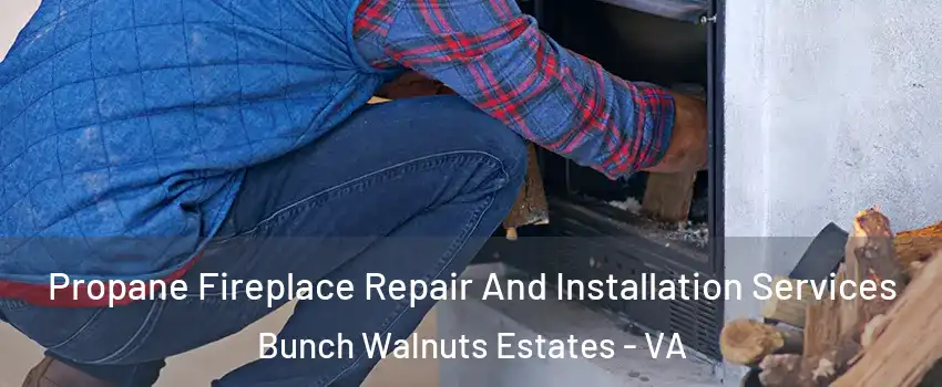 Propane Fireplace Repair And Installation Services Bunch Walnuts Estates - VA