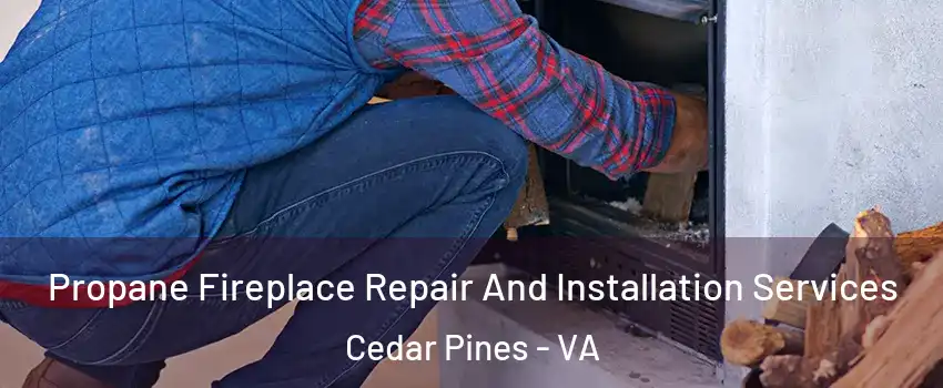 Propane Fireplace Repair And Installation Services Cedar Pines - VA
