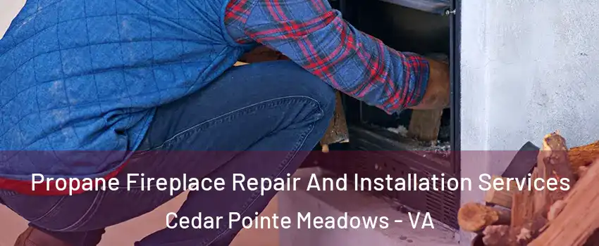 Propane Fireplace Repair And Installation Services Cedar Pointe Meadows - VA
