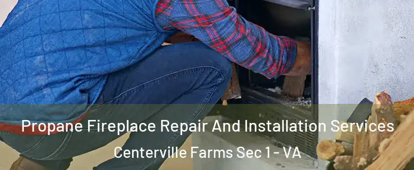 Propane Fireplace Repair And Installation Services Centerville Farms Sec 1 - VA