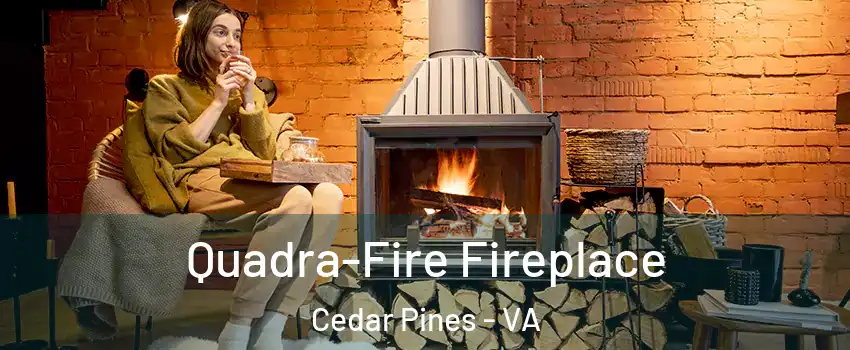 Quadra-Fire Fireplace Cedar Pines - VA