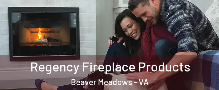 Regency Fireplace Products Beaver Meadows - VA