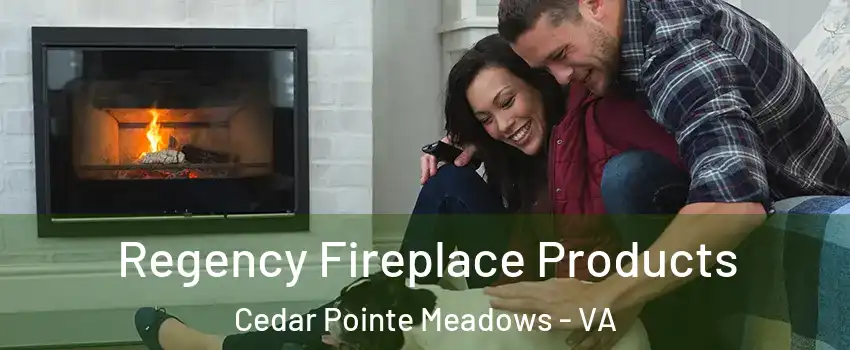 Regency Fireplace Products Cedar Pointe Meadows - VA