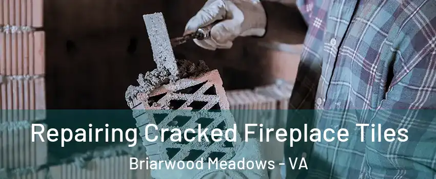 Repairing Cracked Fireplace Tiles Briarwood Meadows - VA