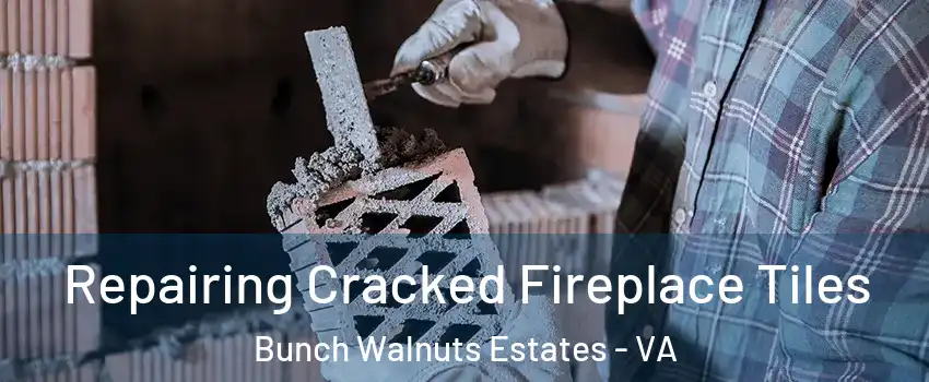 Repairing Cracked Fireplace Tiles Bunch Walnuts Estates - VA
