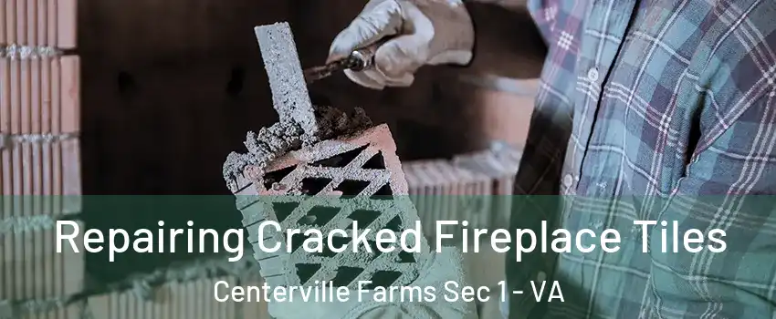 Repairing Cracked Fireplace Tiles Centerville Farms Sec 1 - VA