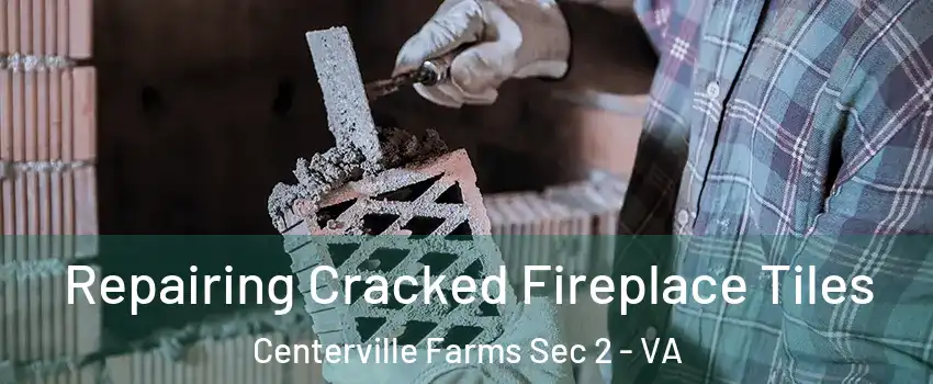 Repairing Cracked Fireplace Tiles Centerville Farms Sec 2 - VA