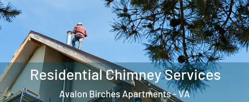 Residential Chimney Services Avalon Birches Apartments - VA