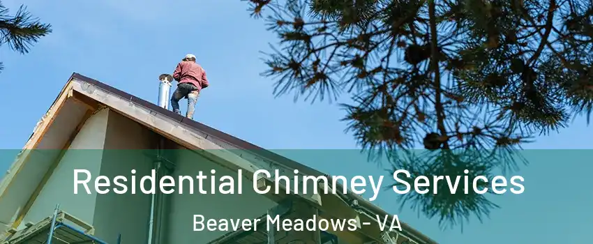 Residential Chimney Services Beaver Meadows - VA