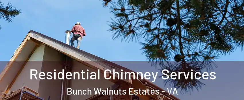 Residential Chimney Services Bunch Walnuts Estates - VA