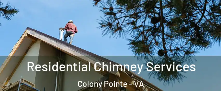 Residential Chimney Services Colony Pointe - VA