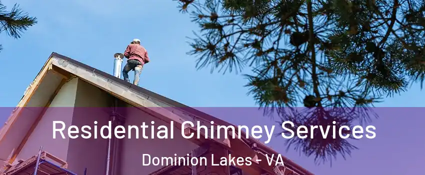 Residential Chimney Services Dominion Lakes - VA